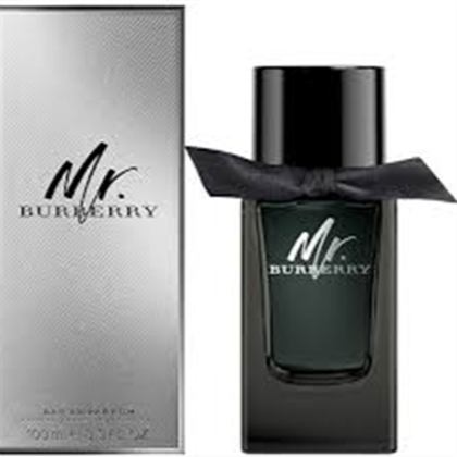 BURBERRY MR.BURBERRY  edp (M)