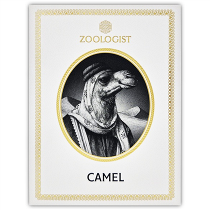 ZOOLOGIST CAMEL  edp (U)