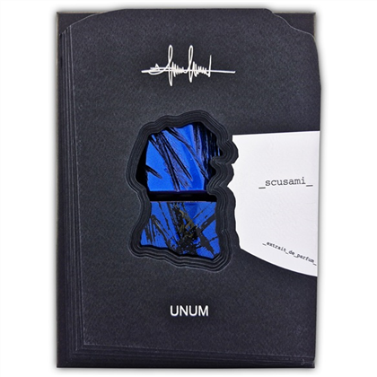 Filippo Sorcinelli SCUSAMI  edp (U)