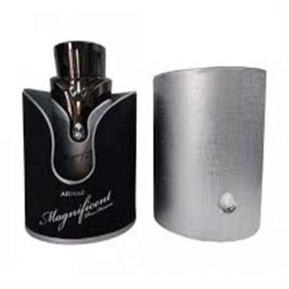 STERLING MAGNIFICENT Pour Homme edp (M)