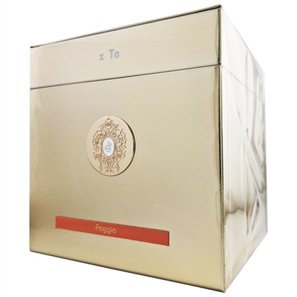 T.TERENZI POGGIA  edp (U)