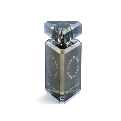 STATE OF MIND SECRET OF SUCCES edp (U)