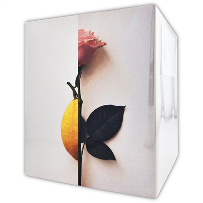 NEW NOTES Rosa Limone  edp (U)