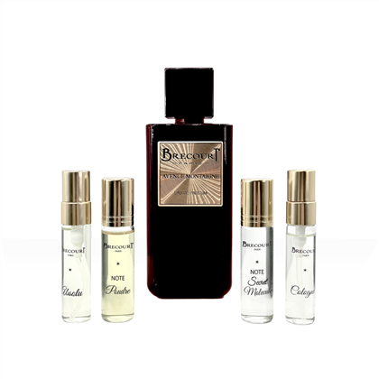 BRECOURT AVENUE MONTAIGNE set edp (L) 100ml+(5ml absolu+5ml col+2*7ml парф.фільтри)