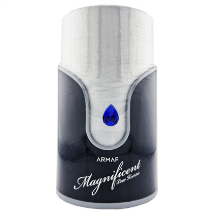 STERLING MAGNIFICENT BLUE Pour Homme edp (M)